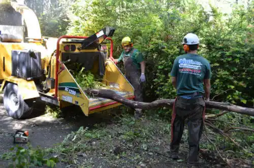 tree services Greendale